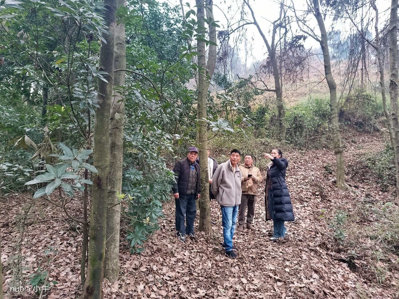 中梁镇：实地调研闲置茶山精准对接农文旅合作——石院村带领农文旅企业负责人实地调研闲置茶山